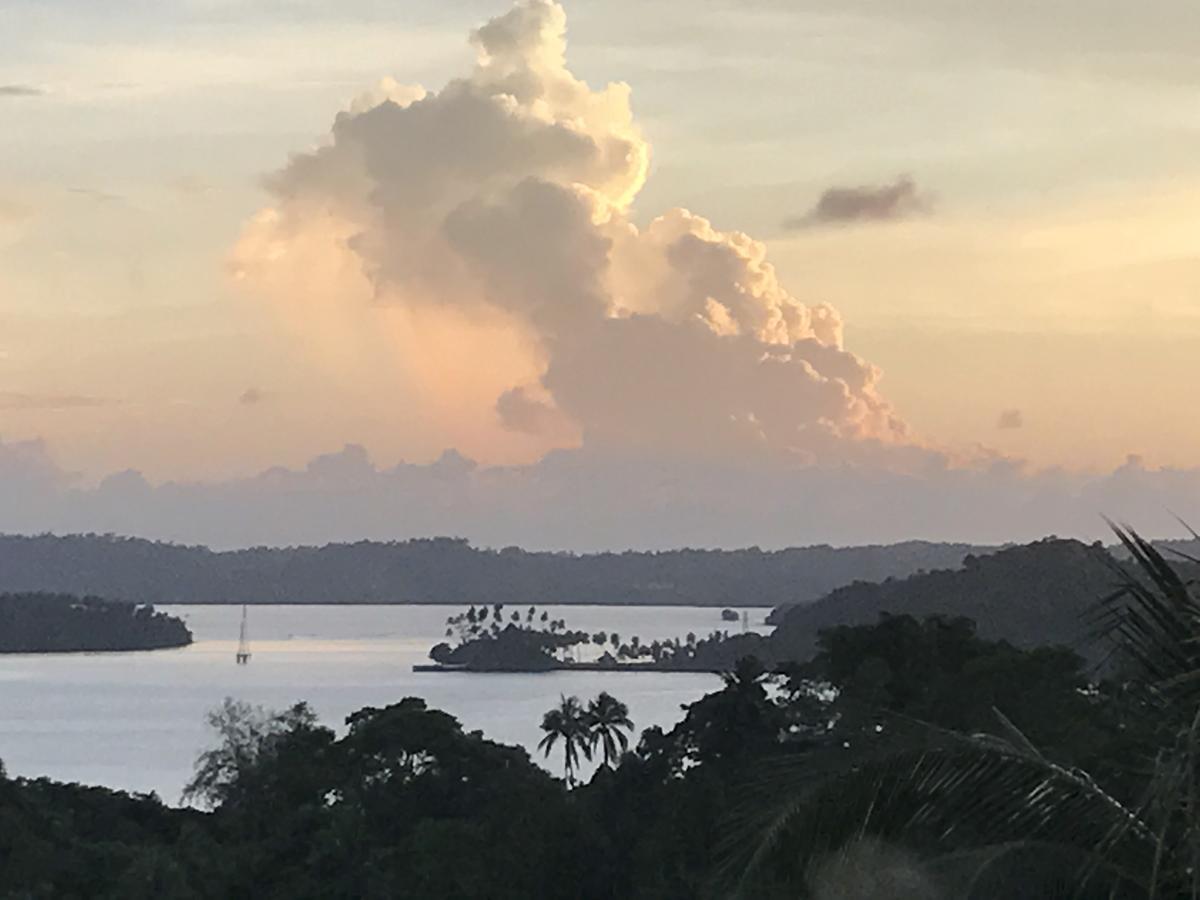 Ocean Terrace Bed and Breakfast Port Blair Exteriör bild